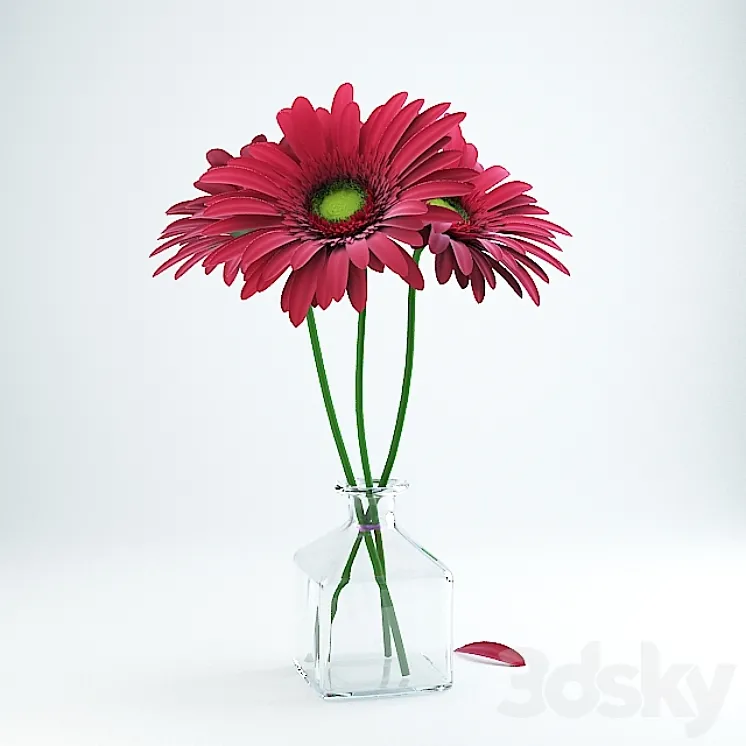 Gerbera 3DS Max