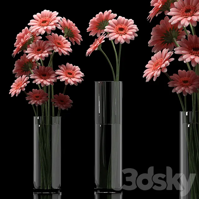 GERBERA 5 3ds Max