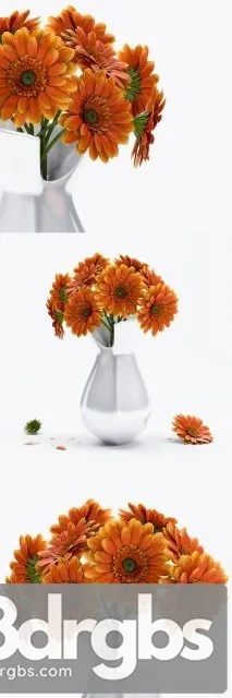 Gerbera Flower 1 3dsmax Download