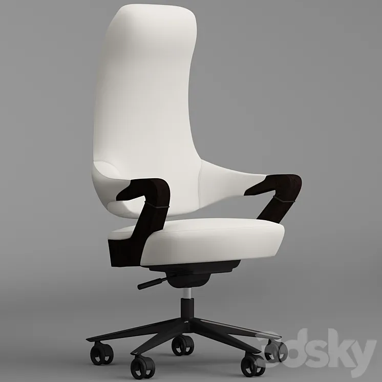 Giorgetti spinger office armchair 3DS Max