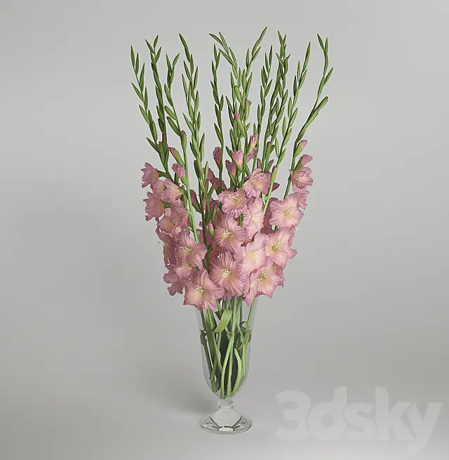 Gladiolus 3DS Max Model