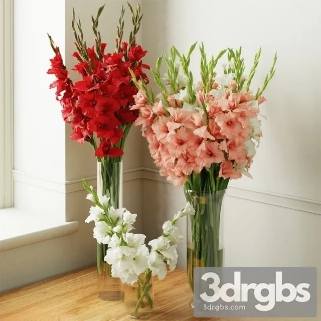 Gladiolus Bouquet 2 3dsmax Download