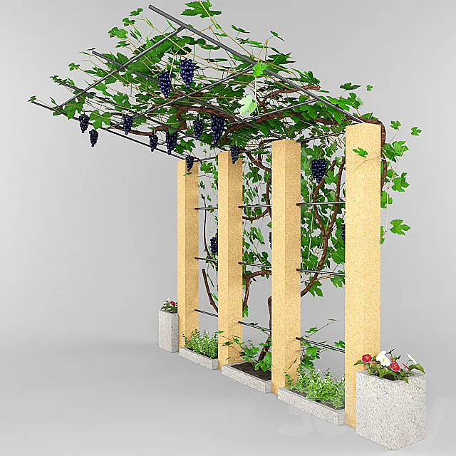 grape canopy. 3ds Max