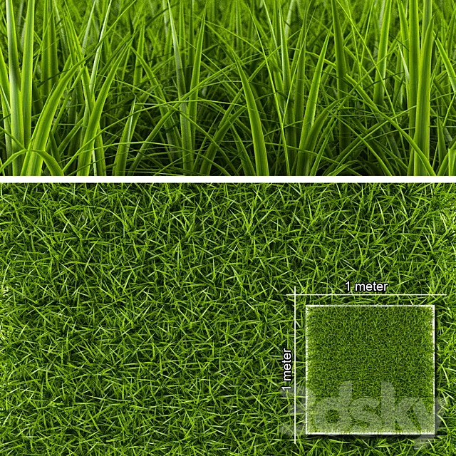 GRASS 1 3DSMax File