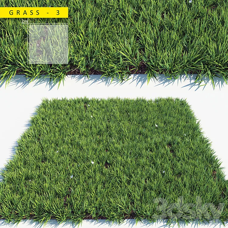 Grass 3 3DS Max