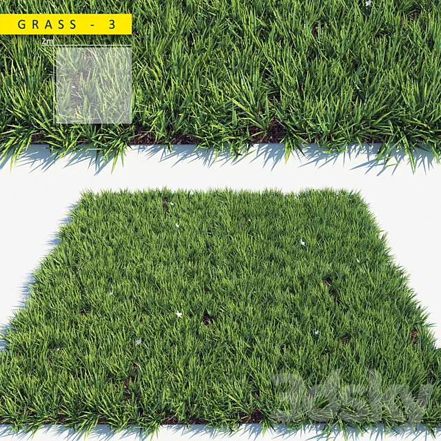 Grass 3 3DSMax File