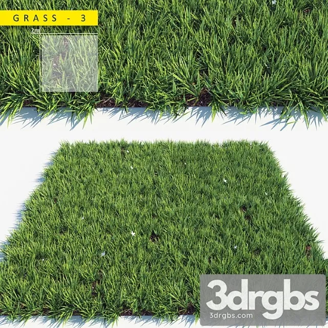 Grass 3