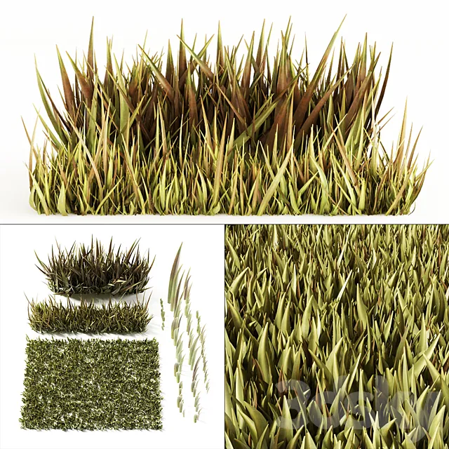 Grass 3ds Max