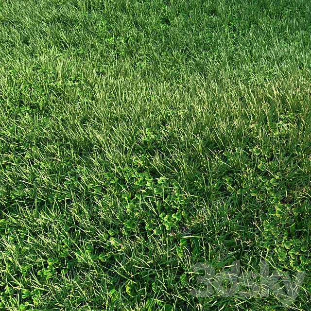 Grass 3DS Max Model