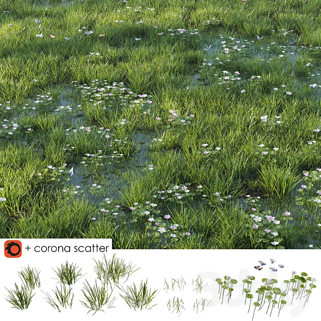 Grass and puddle 3ds Max