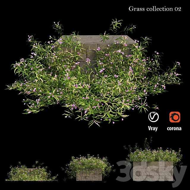 Grass collection 02 3DSMax File