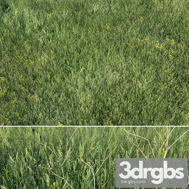 Grass Field 01 3dsmax Download