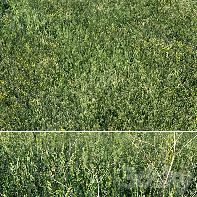 Grass field 01 3DS Max Model