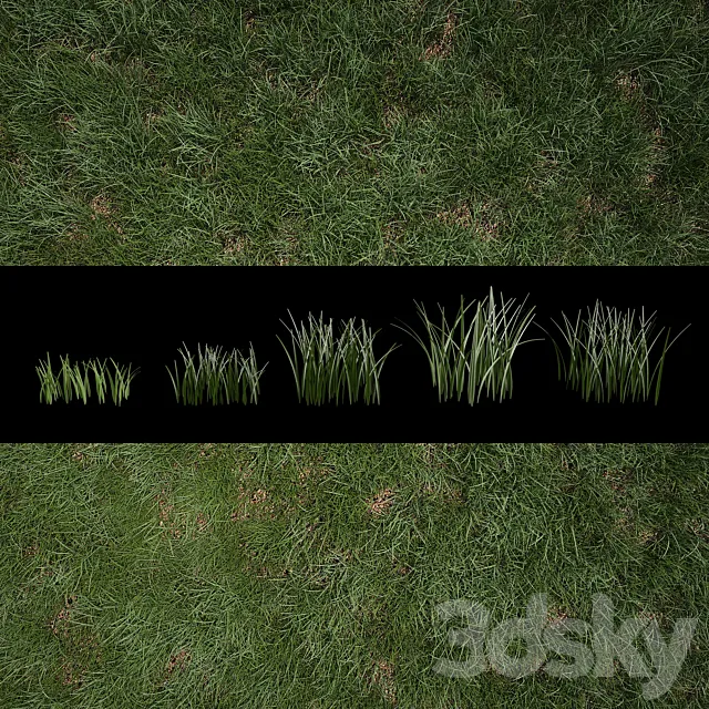 Grass for Exteriors 3DS Max Model