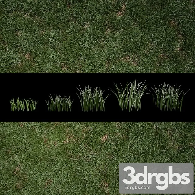 Grass for exteriors