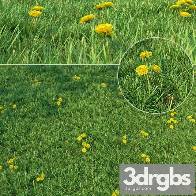 Grass For Landscaping 3dsmax Download