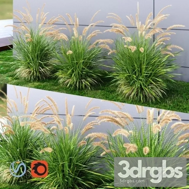 Grass Fountain Green Medium 3dsmax Download