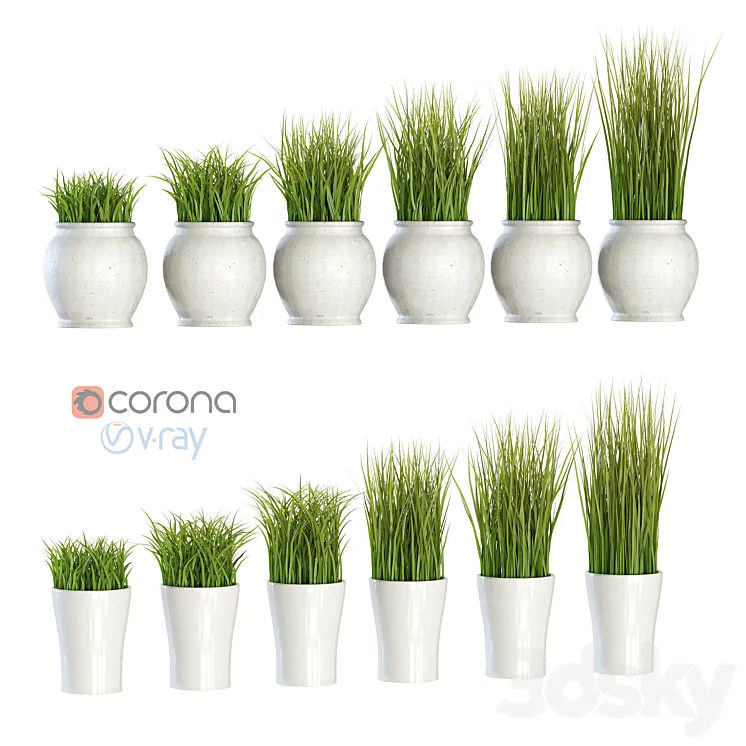 Grass in pots 3DS Max