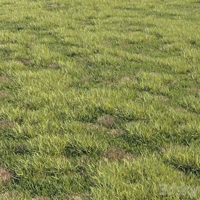 Grass kit 2 3dsMax Model