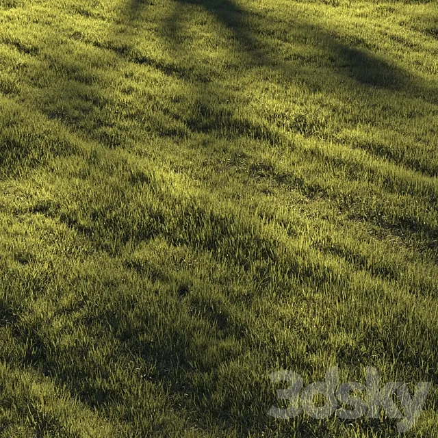 Grass | lawn 3DS Max Model