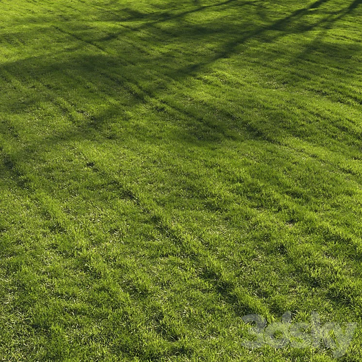 Grass lawn 3DS Max Model