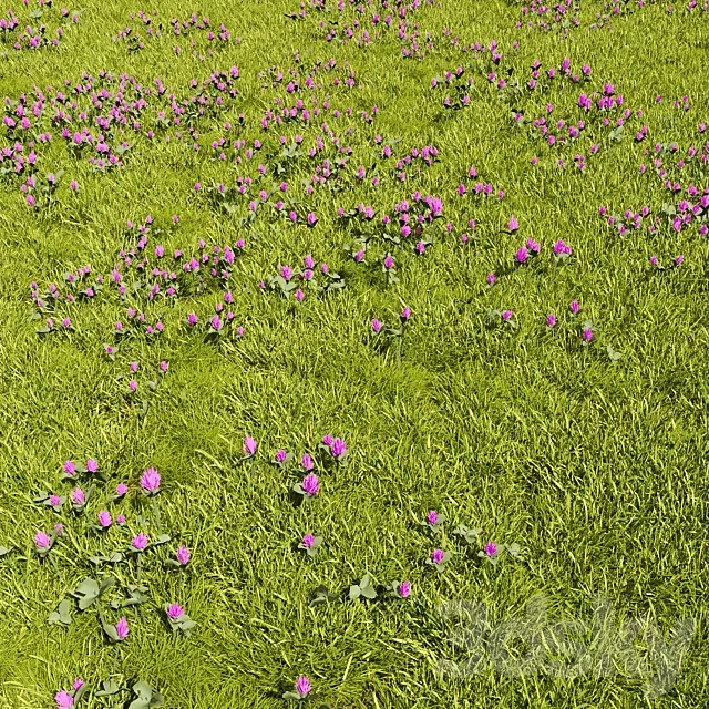 Grass Lawn Scatter 3dsMax Model