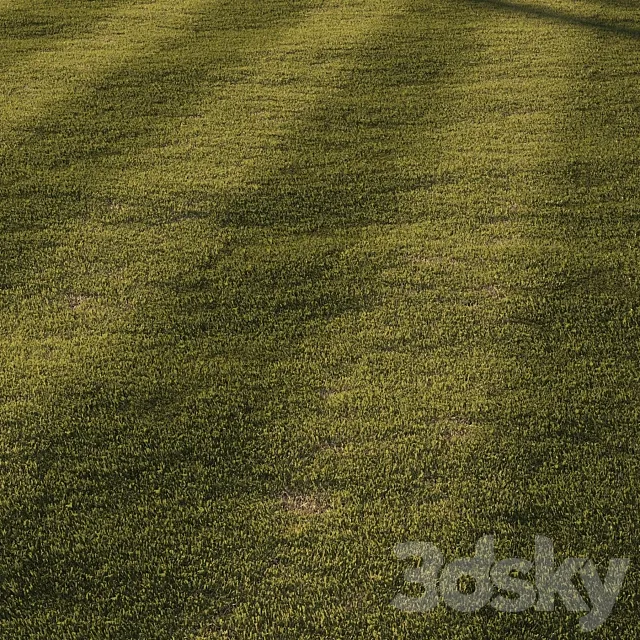 Grass | mowed lawn 3ds Max