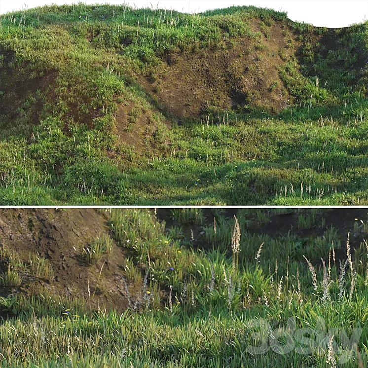Grass on the slope 3DS Max