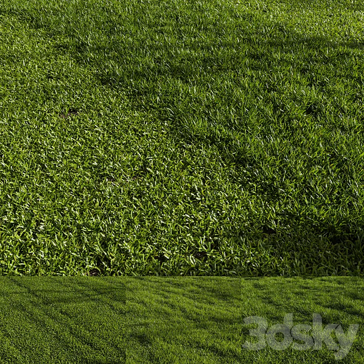 Grass Pack 01 3DS Max