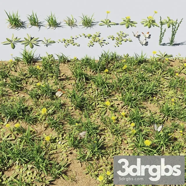 Grass Plants 2 3dsmax Download