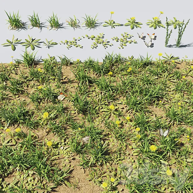 Grass & plants 3DSMax File