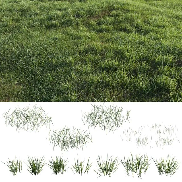 Grass-plot 3dsMax Model
