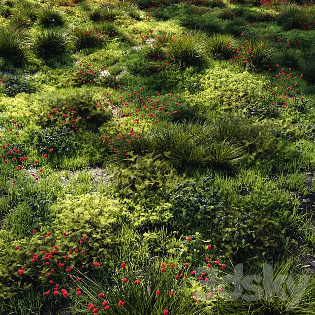 Grass set 1 3DS Max Model