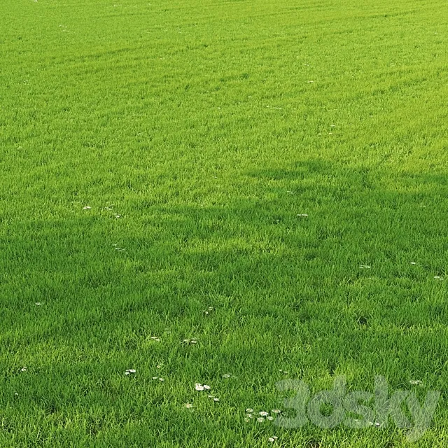 Grass Set GS01 3ds Max