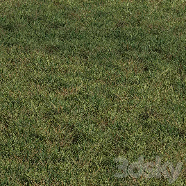 Grass Set No.1 3dsMax Model