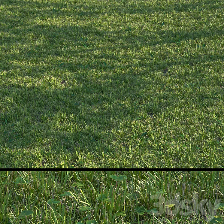 grass set04 3DS Max Model