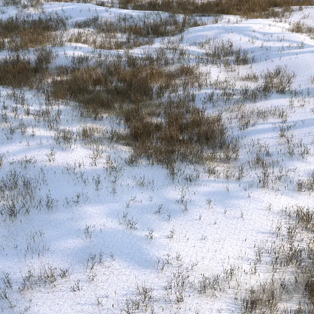 grass under snow02 3ds Max