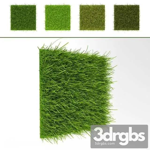 Grass Wall 7 3dsmax Download