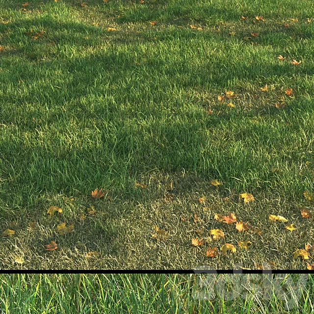 grass011 3dsMax Model