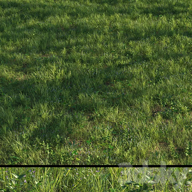 grass13 3ds Max