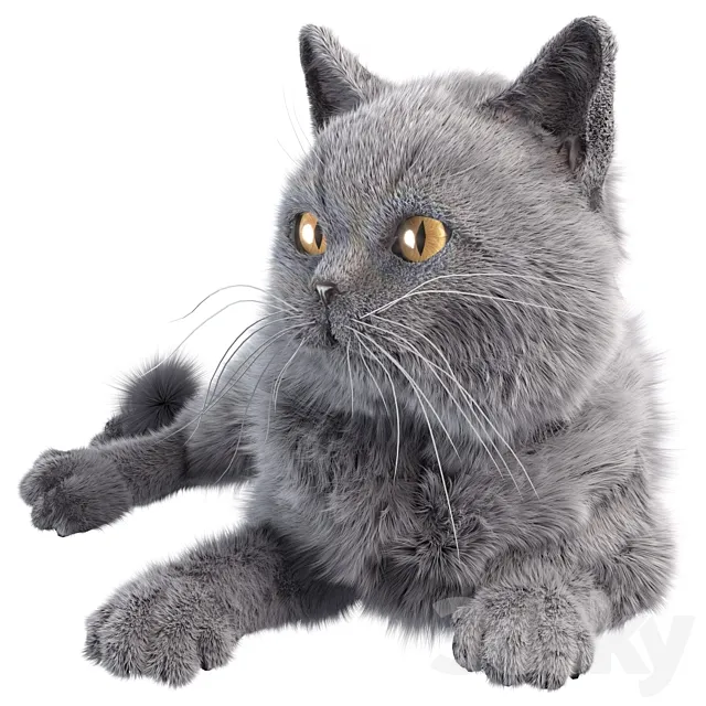 Gray Cat 3DS Max Model