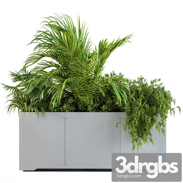 Gray Plants Box With Tropical Plant 3dsmax Download