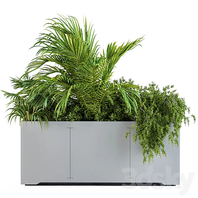 Gray Plants Box with Tropical plant 3ds Max