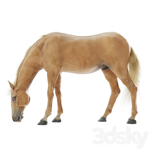 Grazing horse 3DS Max Model