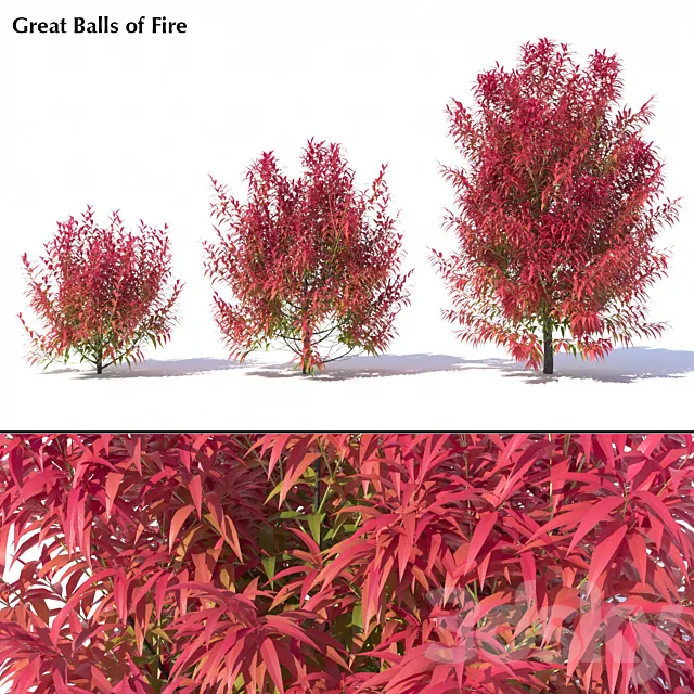 Great Balls of Fire 3DS Max Model