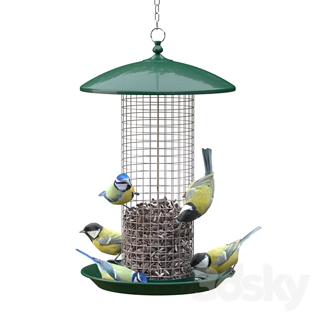 Great Tits and Blue Tits at bird feeder 3DSMax File