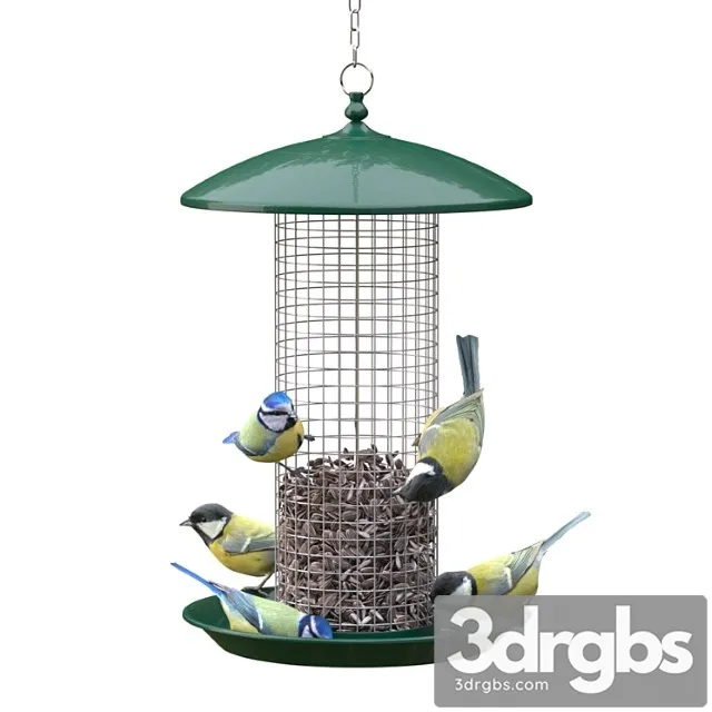 Great tits and blue tits at bird feeder