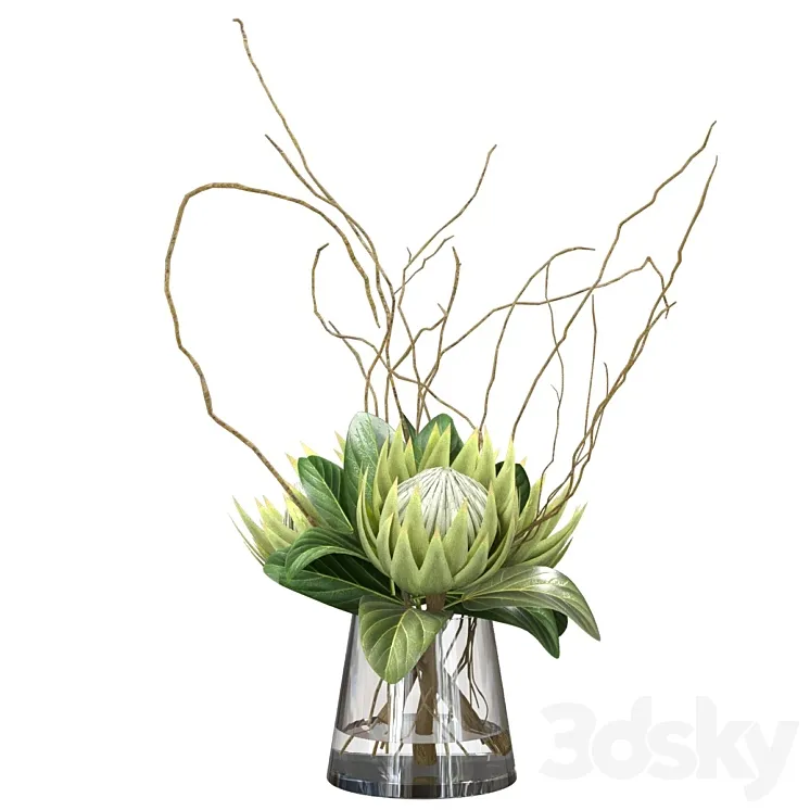 Green bouquet with protea 3DS Max Model