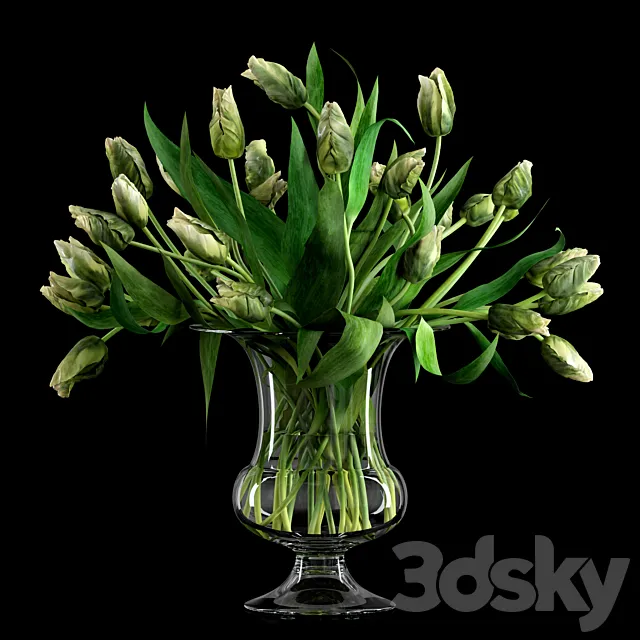 Green Parrot Tulips 3DSMax File