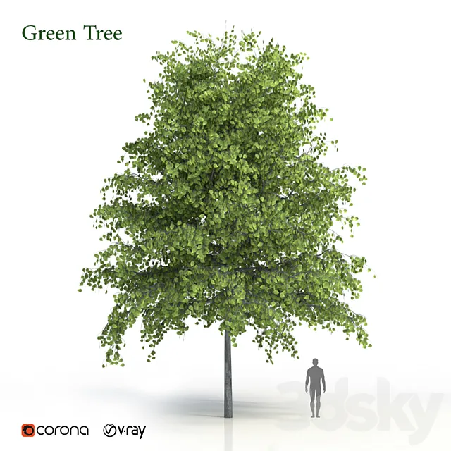 Green tree 3DSMax File